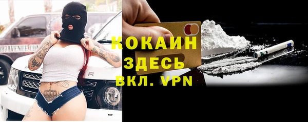 молекула духа Богородск