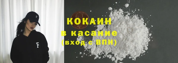 гидра Богданович