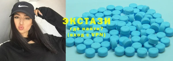 гидра Богданович
