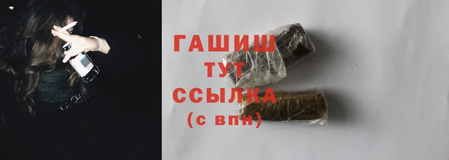 гидра Богданович