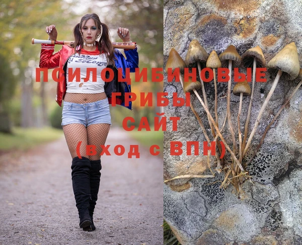 гидра Богданович