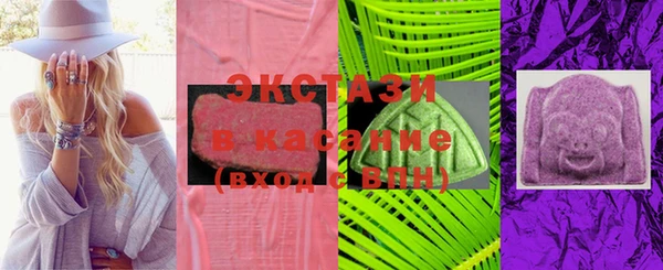 гидра Богданович