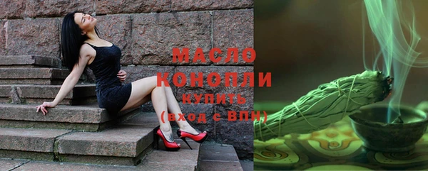 молекула духа Богородск