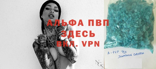 гидра Богданович