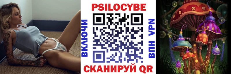 Галлюциногенные грибы Psilocybe Кондрово